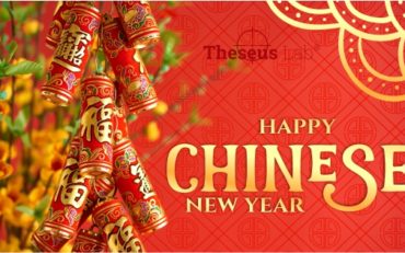 Happy New Year and Spring Holiday!