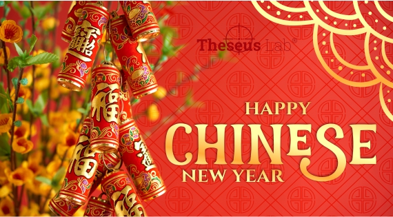 Happy New Year and Spring Holiday!